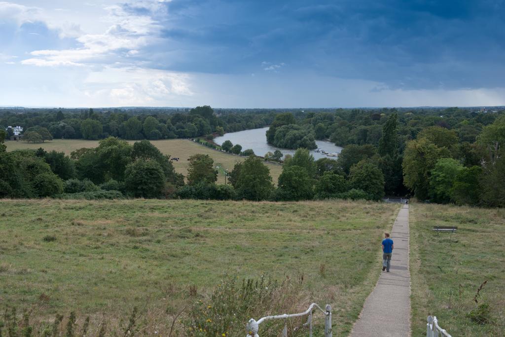 Rose Of York * Richmond (Greater London)
